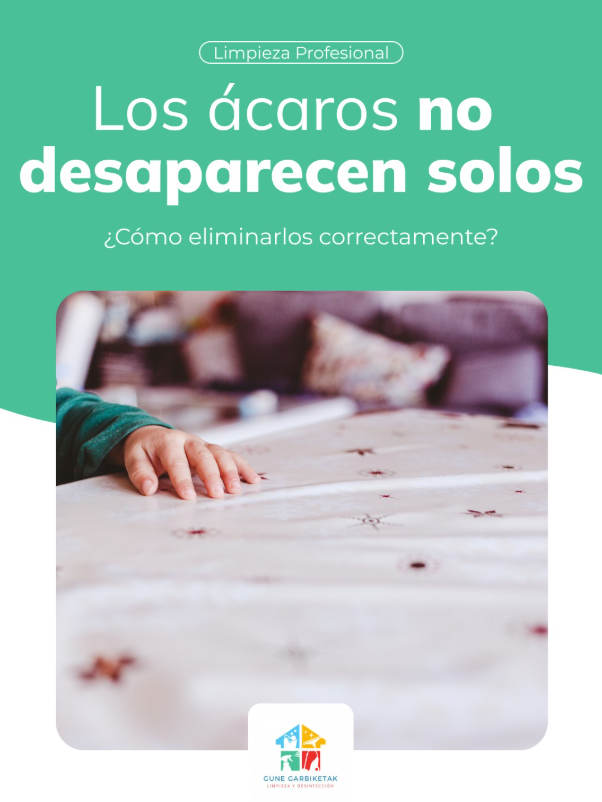 Desengrasamos cocina, saneamos baños, limpiamos azulejos y juntas, aspiramos zonas ocultas, repasamos interruptores, puertas y lámparas, y dejamos cristales sin velos.