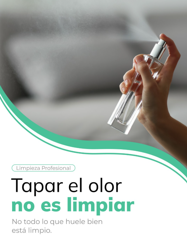 Desengrasamos cocina, saneamos baños, limpiamos azulejos y juntas, aspiramos zonas ocultas, repasamos interruptores, puertas y lámparas, y dejamos cristales sin velos.