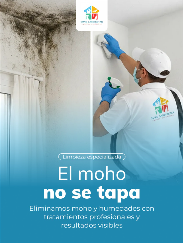 Desengrasamos cocina, saneamos baños, limpiamos azulejos y juntas, aspiramos zonas ocultas, repasamos interruptores, puertas y lámparas, y dejamos cristales sin velos.
